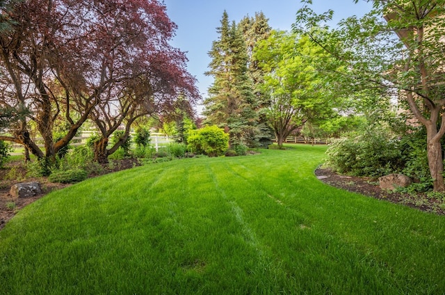 6624 S Ben Burr Rd, Spokane, WA 99223 - view of green lawn