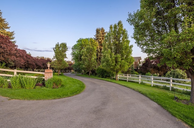 6624 S Ben Burr Rd, Spokane, WA 99223 - view of asphalt driveway