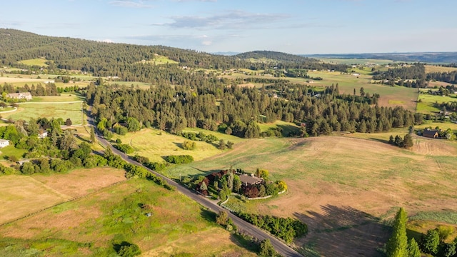 6624 S Ben Burr Rd, Spokane, WA 99223 - aerial view of property's location featuring a heavily wooded area