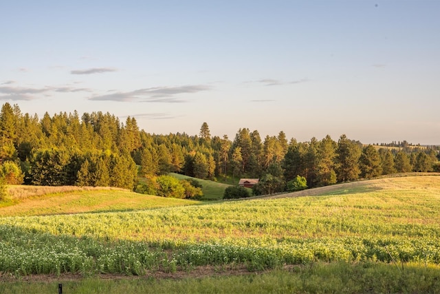 6624 S Ben Burr Rd, Spokane, WA 99223 - view of wooded area featuring a view of countryside