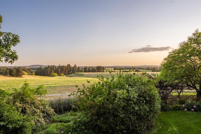 6624 S Ben Burr Rd, Spokane, WA 99223 - view of green lawn featuring a view of countryside