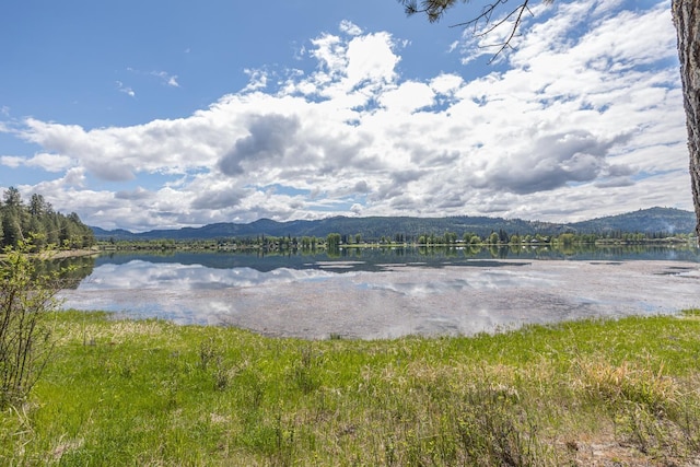 6201A S Leclerc Rd, Newport, WA 99156 - photo 15
