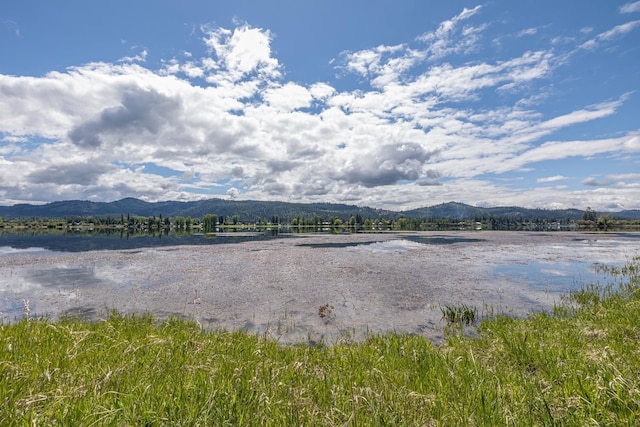 6201A S Leclerc Rd, Newport, WA 99156 - photo 17