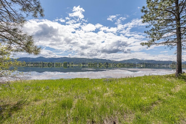 6201A S Leclerc Rd, Newport, WA 99156 - photo 19