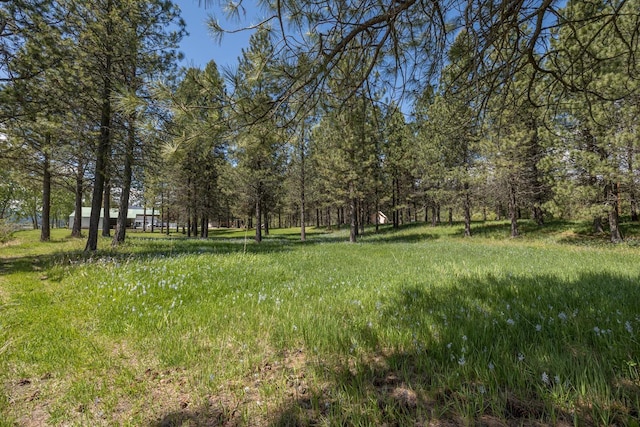 6201A S Leclerc Rd, Newport, WA 99156 - photo 20