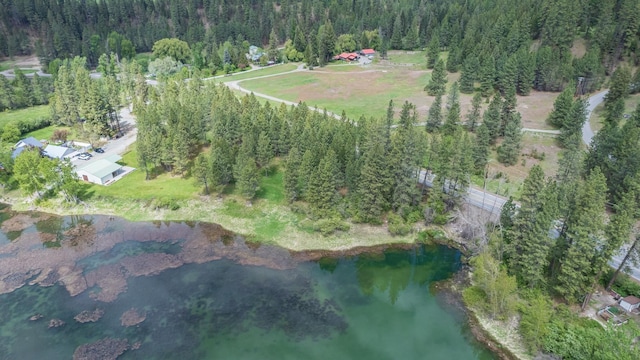 6201A S Leclerc Rd, Newport, WA 99156 - photo 3