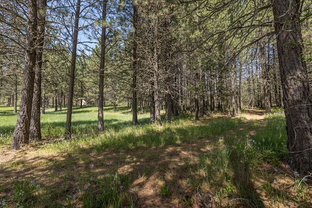 6201A S Leclerc Rd, Newport, WA 99156 - photo 21