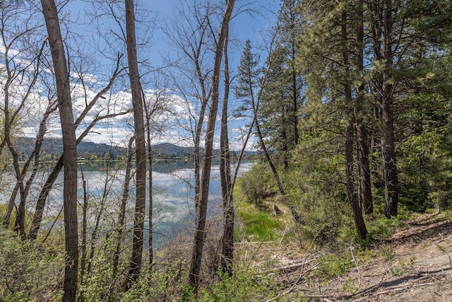 6201A S Leclerc Rd, Newport, WA 99156 - photo 28
