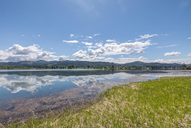 6201A S Leclerc Rd, Newport, WA 99156 - photo 30