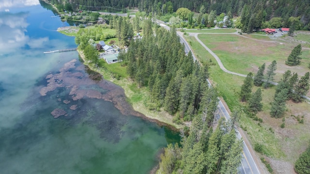 6201A S Leclerc Rd, Newport, WA 99156 - photo 4