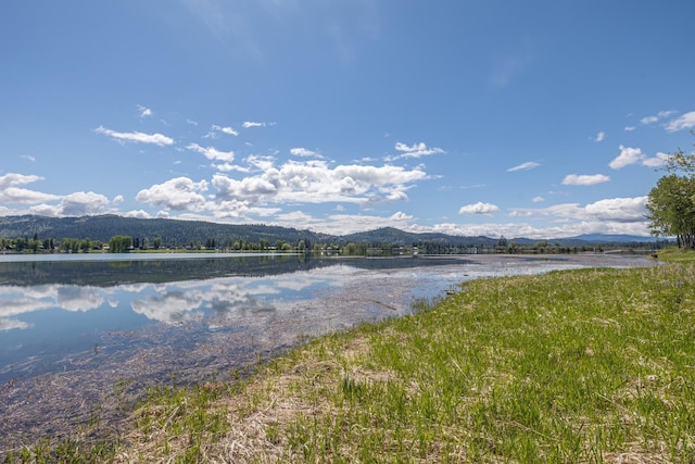 6201A S Leclerc Rd, Newport, WA 99156 - photo 31