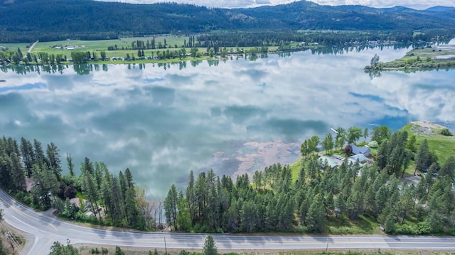 6201A S Leclerc Rd, Newport, WA 99156 - photo 6