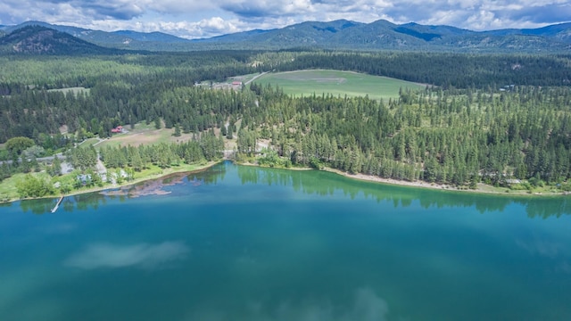 6201A S Leclerc Rd, Newport, WA 99156 - photo 10