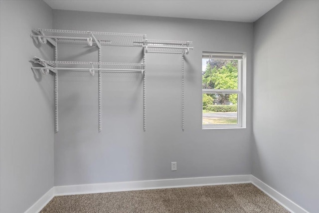 2224 N Lily Rd, Spokane, WA 99212 - walk in closet with carpet floors