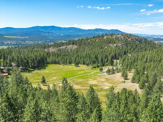 786X Arden Butte Rd, Colville, WA 99114 - photo 1