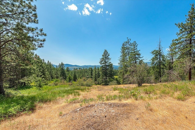 786X Arden Butte Rd, Colville, WA 99114 - photo 11