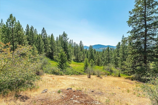 786X Arden Butte Rd, Colville, WA 99114 - photo 12