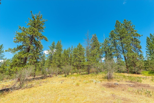 786X Arden Butte Rd, Colville, WA 99114 - photo 13