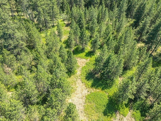786X Arden Butte Rd, Colville, WA 99114 - photo 15
