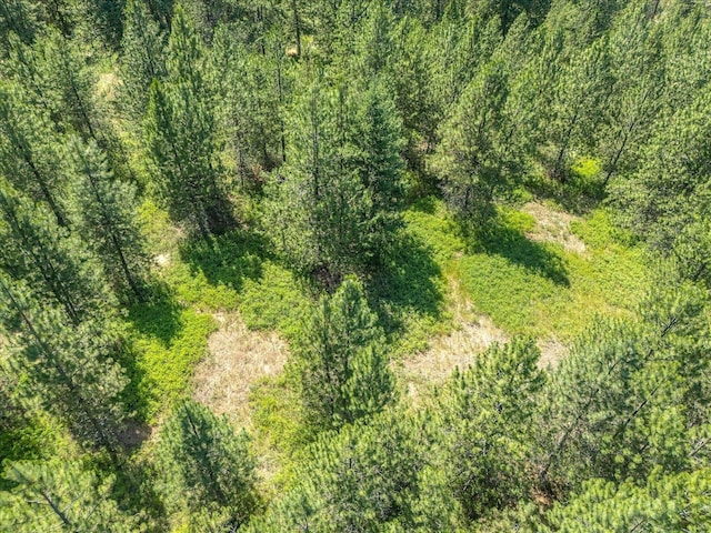 786X Arden Butte Rd, Colville, WA 99114 - photo 16