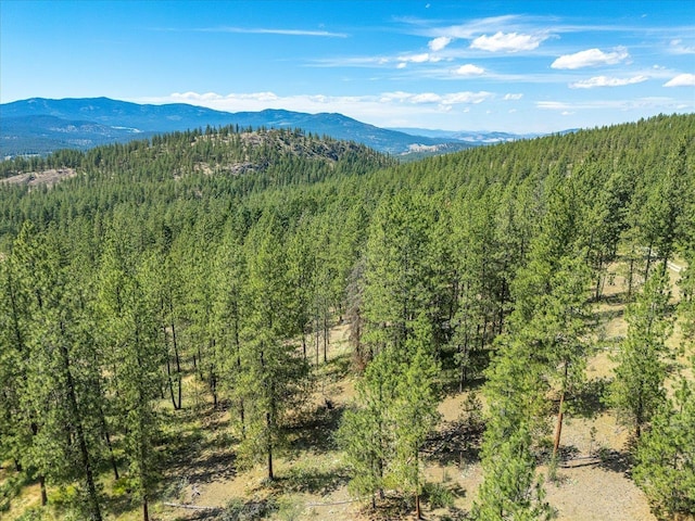 786X Arden Butte Rd, Colville, WA 99114 - photo 19
