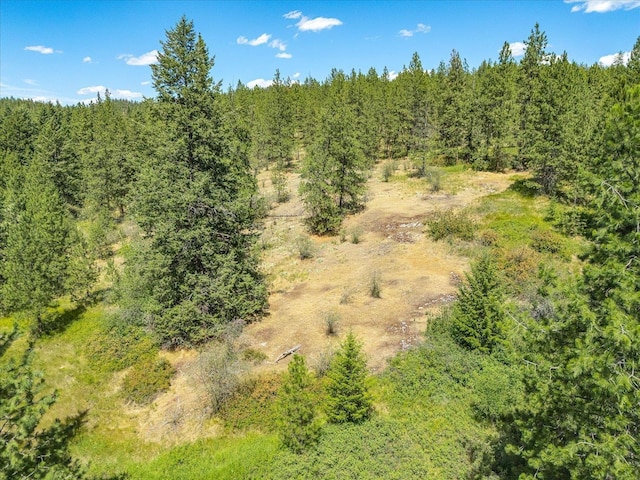 786X Arden Butte Rd, Colville, WA 99114 - photo 20