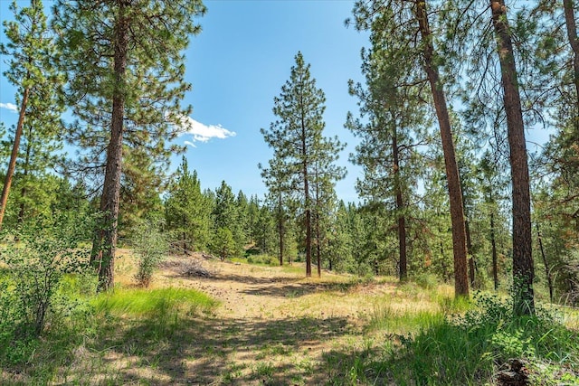 786X Arden Butte Rd, Colville, WA 99114 - photo 3