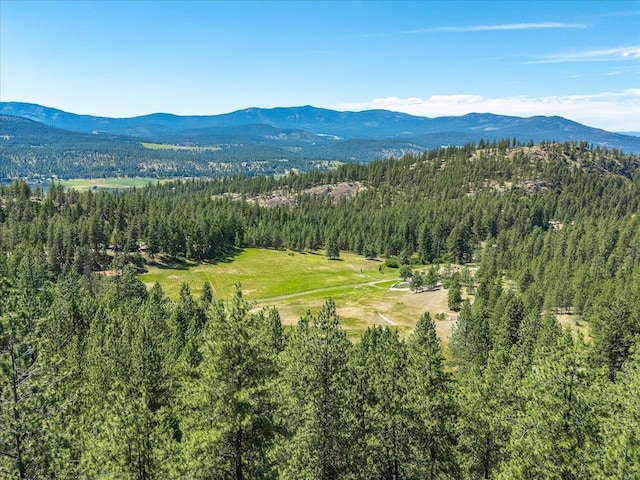 786X Arden Butte Rd, Colville, WA 99114 - photo 21