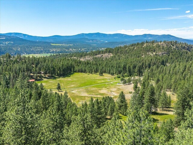 786X Arden Butte Rd, Colville, WA 99114 - photo 22