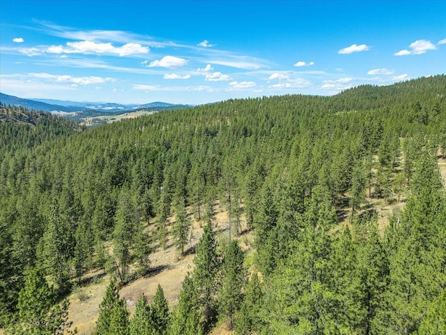 786X Arden Butte Rd, Colville, WA 99114 - photo 23