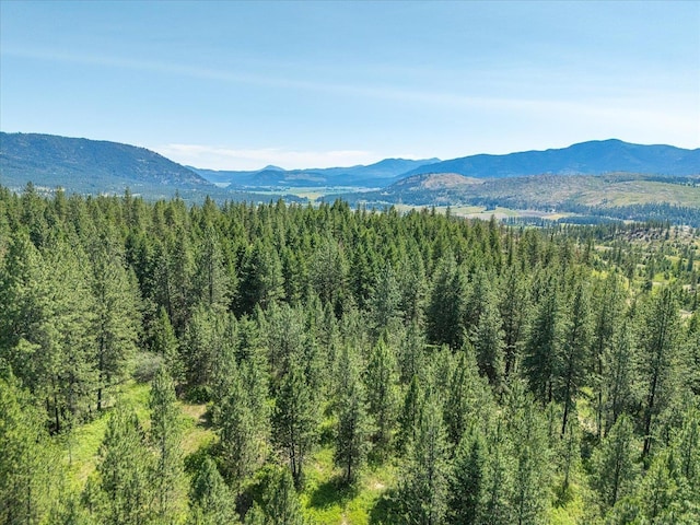 786X Arden Butte Rd, Colville, WA 99114 - photo 24