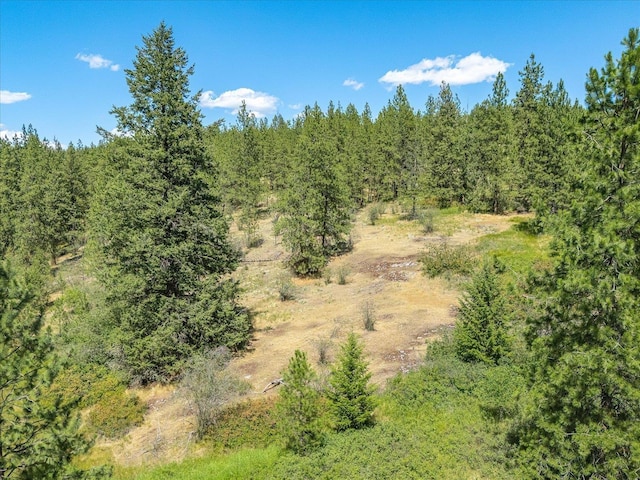 786X Arden Butte Rd, Colville, WA 99114 - photo 25
