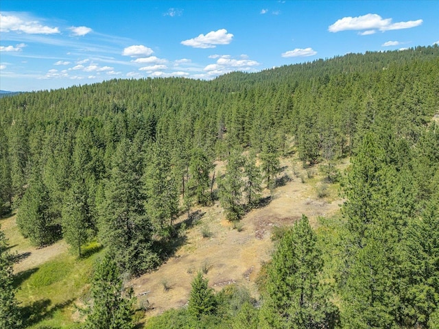786X Arden Butte Rd, Colville, WA 99114 - photo 26