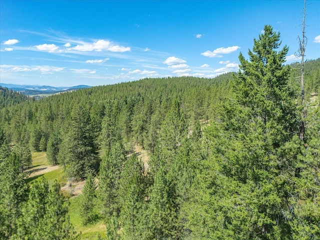 786X Arden Butte Rd, Colville, WA 99114 - photo 27