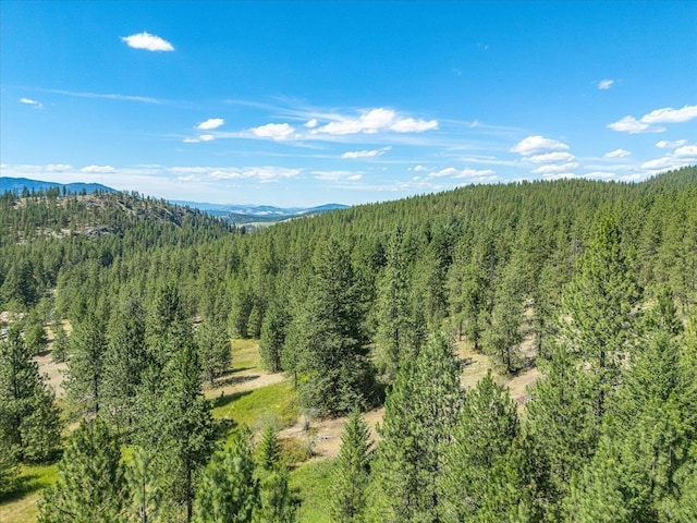 786X Arden Butte Rd, Colville, WA 99114 - photo 28