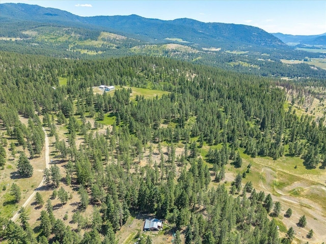 786X Arden Butte Rd, Colville, WA 99114 - photo 29