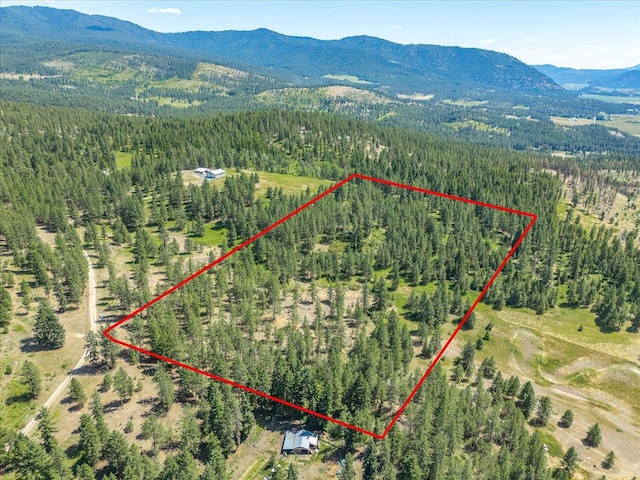 786X Arden Butte Rd, Colville, WA 99114 - photo 30