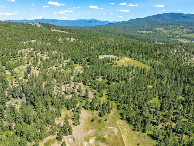 786X Arden Butte Rd, Colville, WA 99114 - photo 31