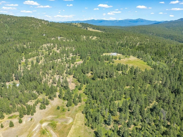 786X Arden Butte Rd, Colville, WA 99114 - photo 32