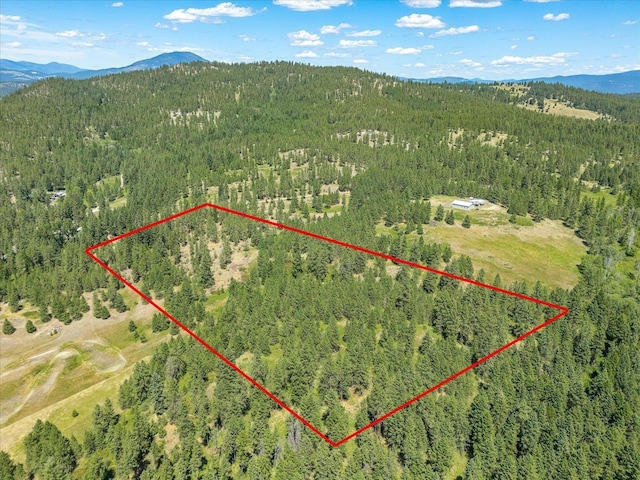 786X Arden Butte Rd, Colville, WA 99114 - photo 34
