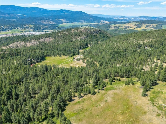 786X Arden Butte Rd, Colville, WA 99114 - photo 37