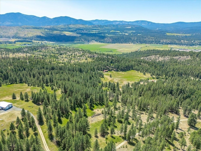 786X Arden Butte Rd, Colville, WA 99114 - photo 40