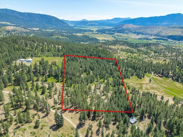 786X Arden Butte Rd, Colville, WA 99114 - photo 42