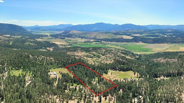 786X Arden Butte Rd, Colville, WA 99114 - photo 43