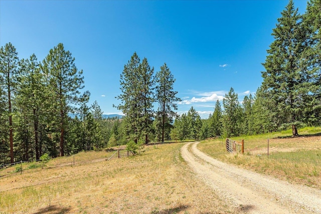786X Arden Butte Rd, Colville, WA 99114 - photo 44