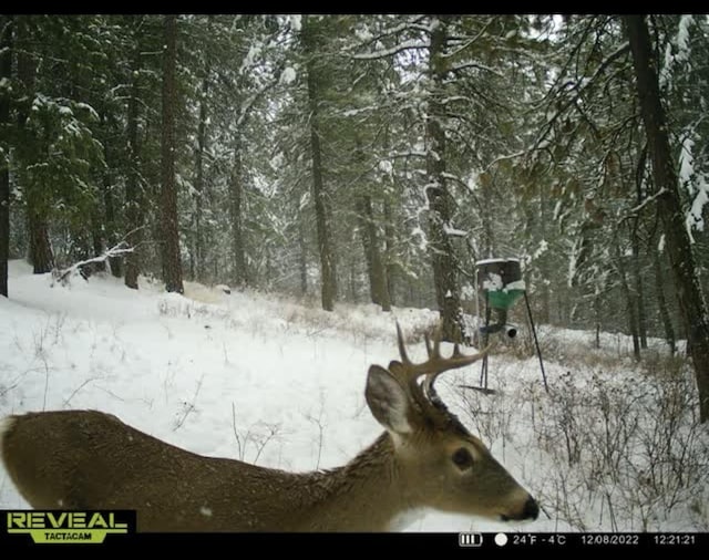 786X Arden Butte Rd, Colville, WA 99114 - photo 46