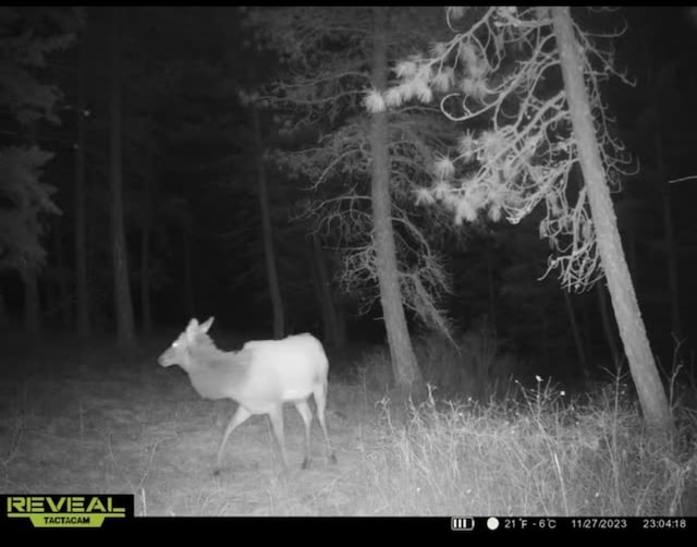 786X Arden Butte Rd, Colville, WA 99114 - photo 47