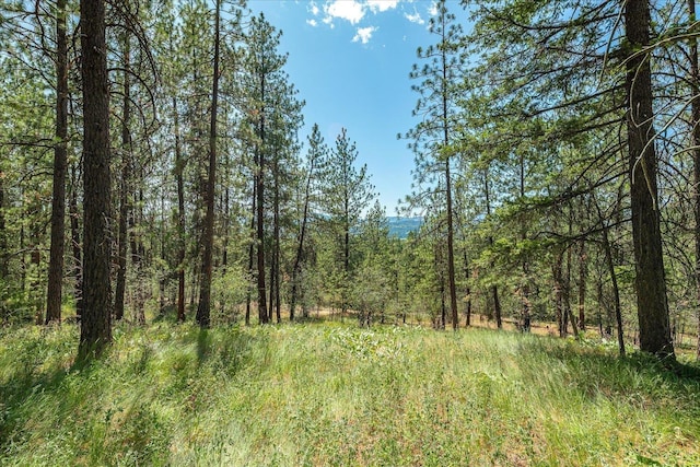 786X Arden Butte Rd, Colville, WA 99114 - photo 6
