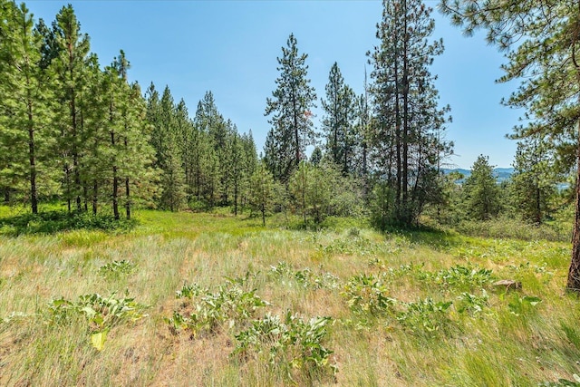 786X Arden Butte Rd, Colville, WA 99114 - photo 7