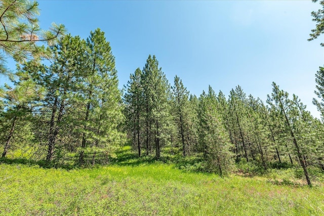 786X Arden Butte Rd, Colville, WA 99114 - photo 8